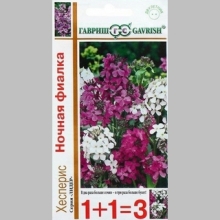 Хесперис Ночная фиалка смесь (Вечерница) - Семена Тут