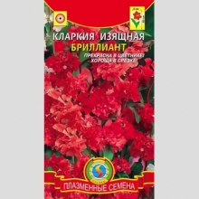 Кларкия Бриллиант (изящная) - Семена Тут