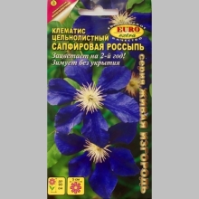 Клематис Сапфировая россыпь (цельнолистный) - Семена Тут