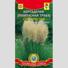Кортадерия Серебристая (Пампасная трава) - Семена Тут