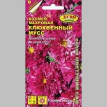 Космея Клюквенный мусс - Семена Тут
