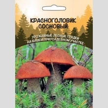 Грибы - Красноголовик Сосновый (мицелий) 30мл  (большой пакет) - Семена Тут