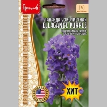 Лаванда Ellagance Purple узколистная компактная (большой пакет) - Семена Тут
