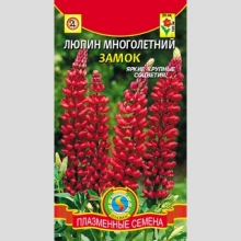 Люпин Замок - Семена Тут