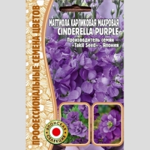 Маттиола Cinderella Purple карликовая махровая (большой пакет) - Семена Тут