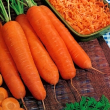 Морковь Флакоро - Семена Тут