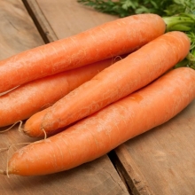 Морковь Нантская 4 (драже) - Семена Тут