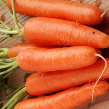 Морковь Настена-сластена - Семена Тут