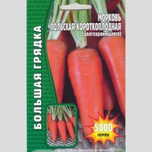 Морковь Польская Короткоплодная (большой пакет) - Семена Тут