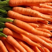 Морковь Сахарная королева - Семена Тут