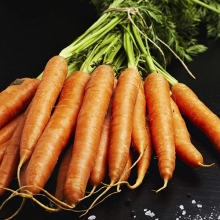 Морковь Витаминная 6 (драже) - Семена Тут