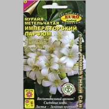 Мурайя Императорский парфюм (метельчатая) - Семена Тут