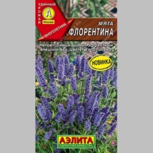Мята Флорентина - Семена Тут