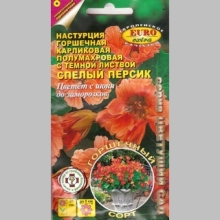 Настурция Спелый персик - Семена Тут