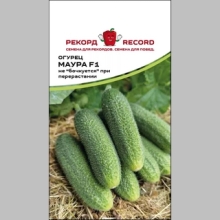 Огурец Маура F1 (Rijder Seeds) - Семена Тут