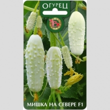 Огурец Мишка-на-Севере F1 - Семена Тут