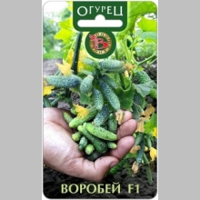 Огурец Воробей F1 - Семена Тут