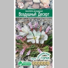 Энотера Воздушный десерт (бледная) - Семена Тут