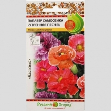 Папавер Утренняя песня самосейка - Семена Тут