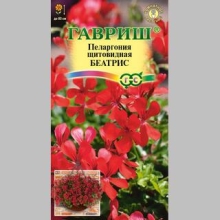 Пеларгония Беатрис (ампельная) - Семена Тут