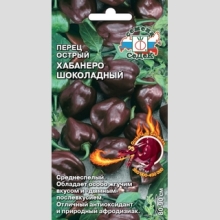 Перец Хабанеро Шоколадный - Семена Тут