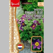 Прострел Pinwheel Blue Violet Shades (большой пакет) - Семена Тут