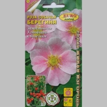 Роза Берегиня собачья (шиповник) - Семена Тут