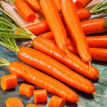 Морковь Русский деликатес® - Семена Тут