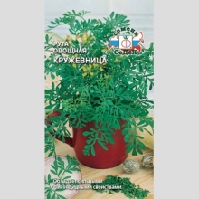 Рута Кружевница (овощная) - Семена Тут