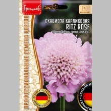 Скабиоза Ritz Rose карликовая (большой пакет) - Семена Тут