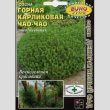 Сосна Чао-Чао карликовая горная - Семена Тут