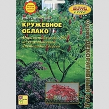 Сумах Кружевное облако (уксусный) - Семена Тут