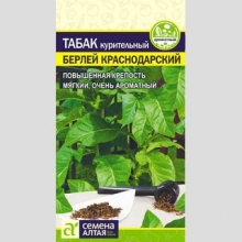 Табак Берлей Краснодарский (курительный) - Семена Тут