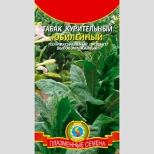 Табак Юбилейный (курительный) - Семена Тут