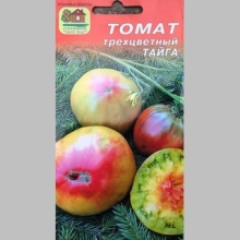 Томат Тайга трехцветный - Семена Тут