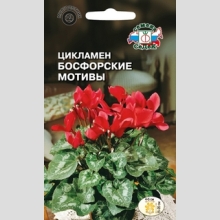 Цикламен Босфорские мотивы - Семена Тут