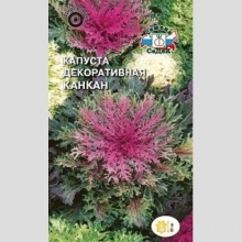 Капуста Канкан - Семена Тут