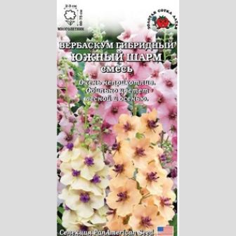 Вербаскум гибридный Южный шарм