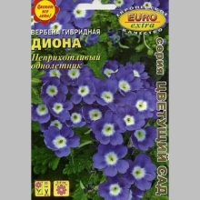 Вербена Диона - Семена Тут