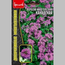 Вербена Канадская многолетняя (большой пакет) - Семена Тут