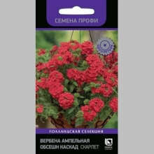 Вербена Обсешн Каскад Скарлет (Семена Профи) - Семена Тут