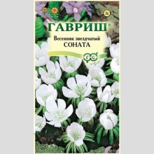 Весенник Соната звездчатый (эрантис) - Семена Тут