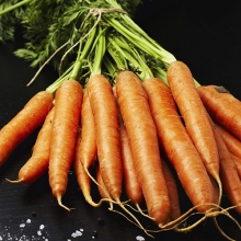 Морковь Витаминная 6 - Семена Тут
