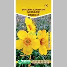 Бартония Ворожея золотистая (ментцелия) - Семена Тут