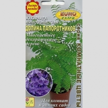 Жакаранда Долина папоротников (мимозолистная) - Семена Тут