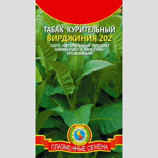 Табак Вирджиния 202 (курительный) - Семена Тут