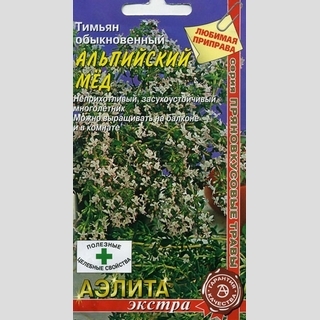 Тимьян Альпийский мед (чабрец) - Семена Тут