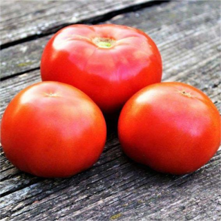 Томат Нектарин (Nectarine) (большой пакет) - Семена Тут