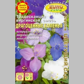 Традесканция Драгоценные каменья - Семена Тут