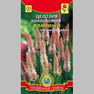 Целозия Фламинго (колосистая) - Семена Тут